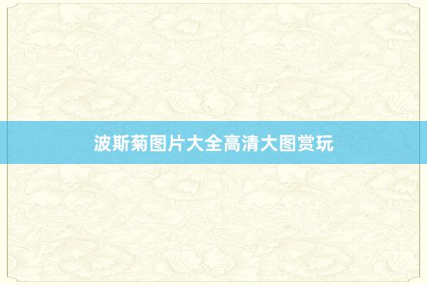 波斯菊图片大全高清大图赏玩